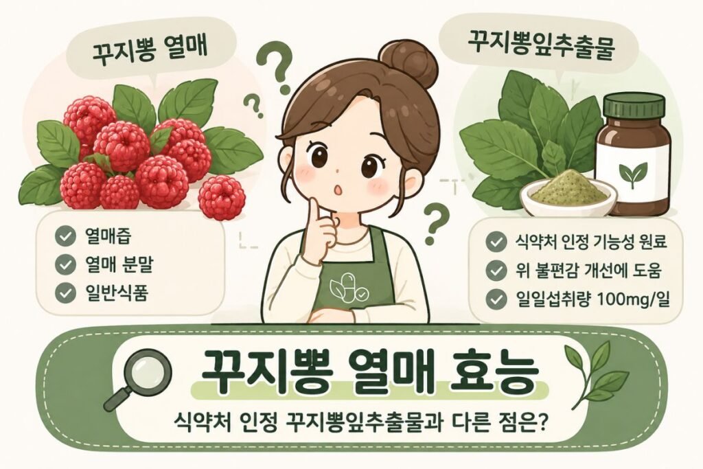 꾸지뽕 열매 효능 검색 시 일반 열매즙·분말과 식약처 인정 꾸지뽕잎추출물의 기능성 및 일일섭취량 차이 비교